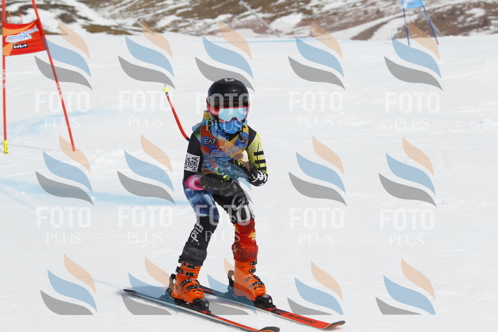 _U3G2714 | holidayphoto