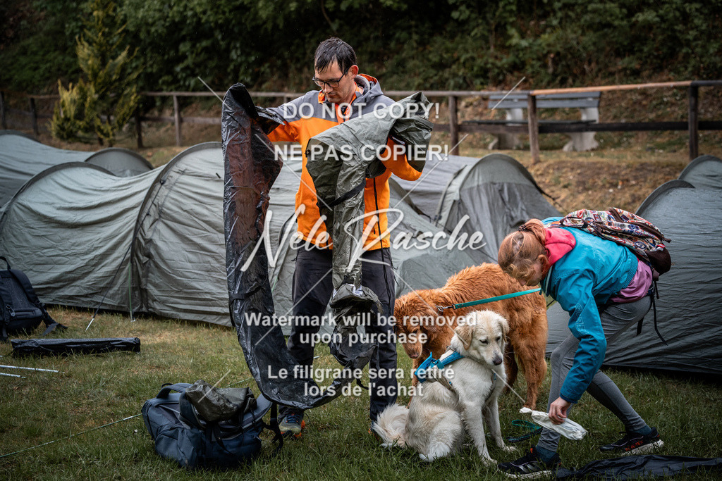 nelerasche_SaAbends_487 | nelerasche