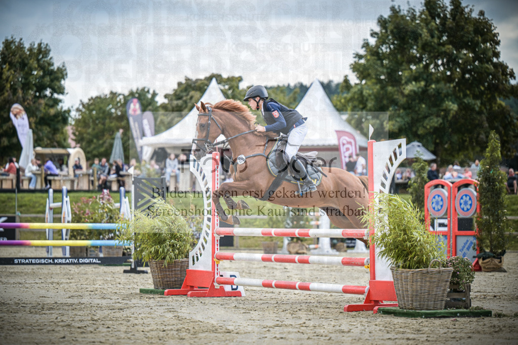 DOS_0612 | Entdecke hochwertige Reitturnierfotos von Foto Oger. Professionell, emotional und authentisch – jetzt Lieblingsmomente im Shop bestellen.Deutschlandweite Turnierfotografie. - Realisiert mit Pictrs.com