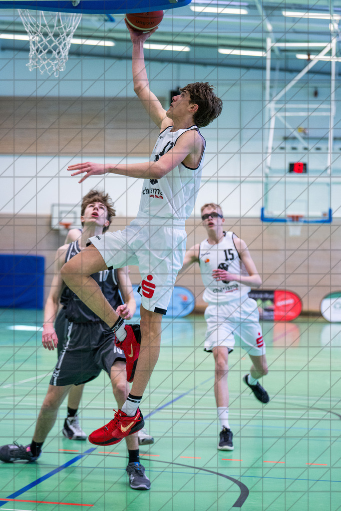 JBBL 24/25 | 02.02.2025 | Charisma Young Bulls vs. Bramfelder SV  | JBBL 24/25 | 02.02.2025 | Charisma Young Bulls vs. Bramfelder SV - - - - - CREDIT, www.bullenfotos.de, Martin König, Hörner Weg 40, D-49078 Osnabrück, +4917663732967, Nutzung und Weitergabe nur zu den vereinbarten Zwecken. Presseanfragen an Urheber. Alle Rechte beim Urheber. - - - - - - Realisiert mit Pictrs.com