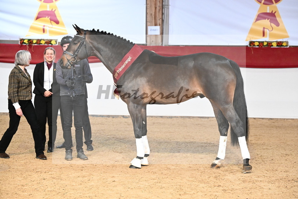 Comme_Carvelle_3265039 | hf-fotografie - Realisiert mit Pictrs.com