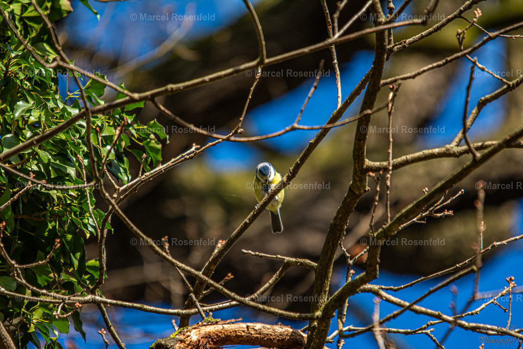 _DSC2566 | foto-rosenfeld
