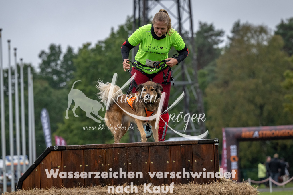 1103-93379 | kk-dogfotos