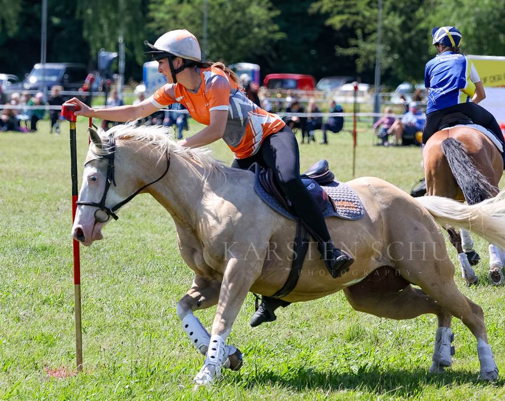 IMG_1604 | Reitsport Reiten