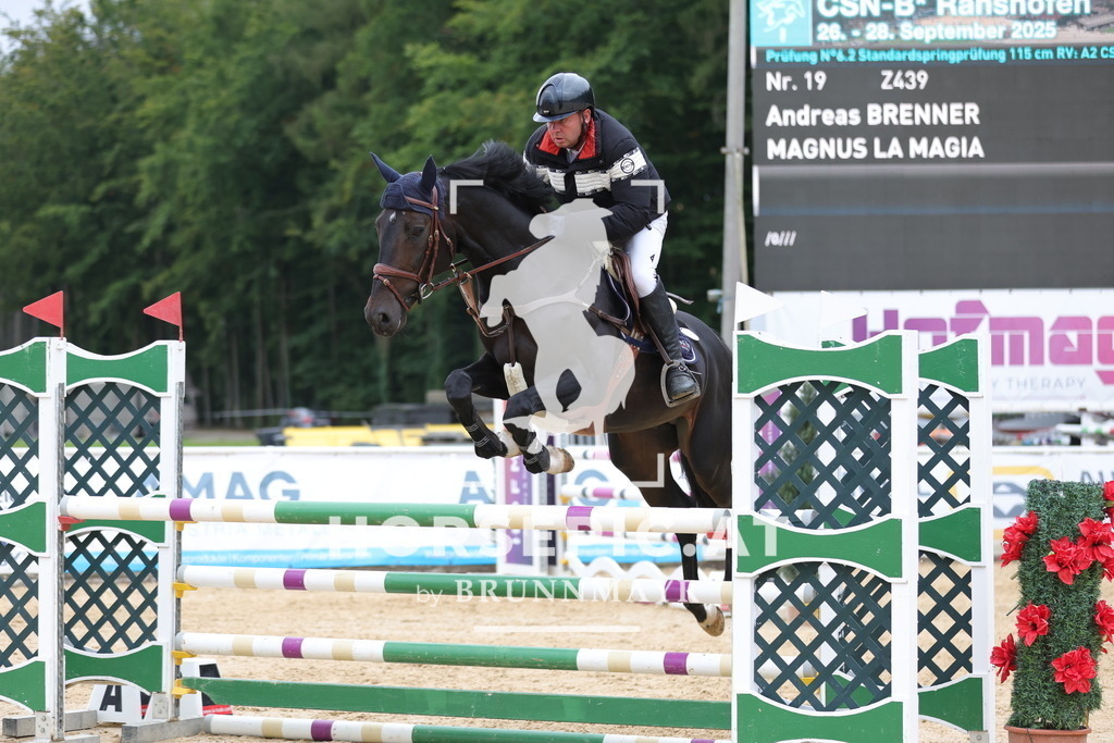 0P6A6655 | Willkommen bei Brunnmayr - Design & Fotografie – Ihrem Spezialisten für Reitturniere und Pferdeveranstaltungen in Oberösterreich, Salzburg und Bayern! Seit über 17 Jahren sind wir leidenschaftlich dabei.