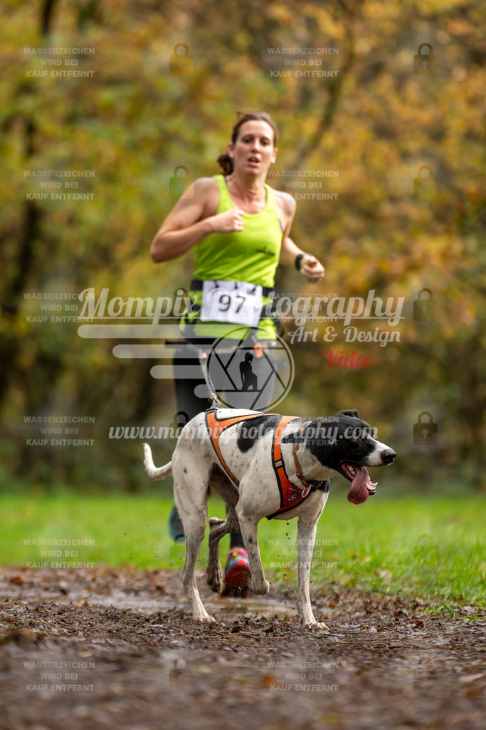 MompixPhotography_Bischwiller23_Canicross-41 | PayLife