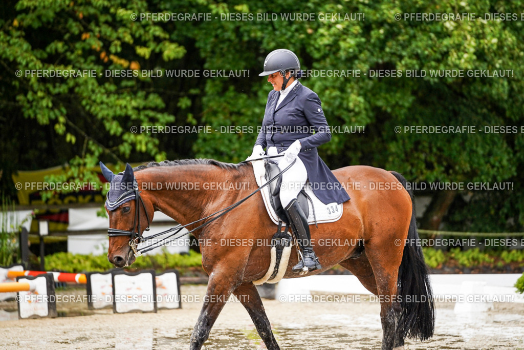 DSC09790 | Pferdegrafie