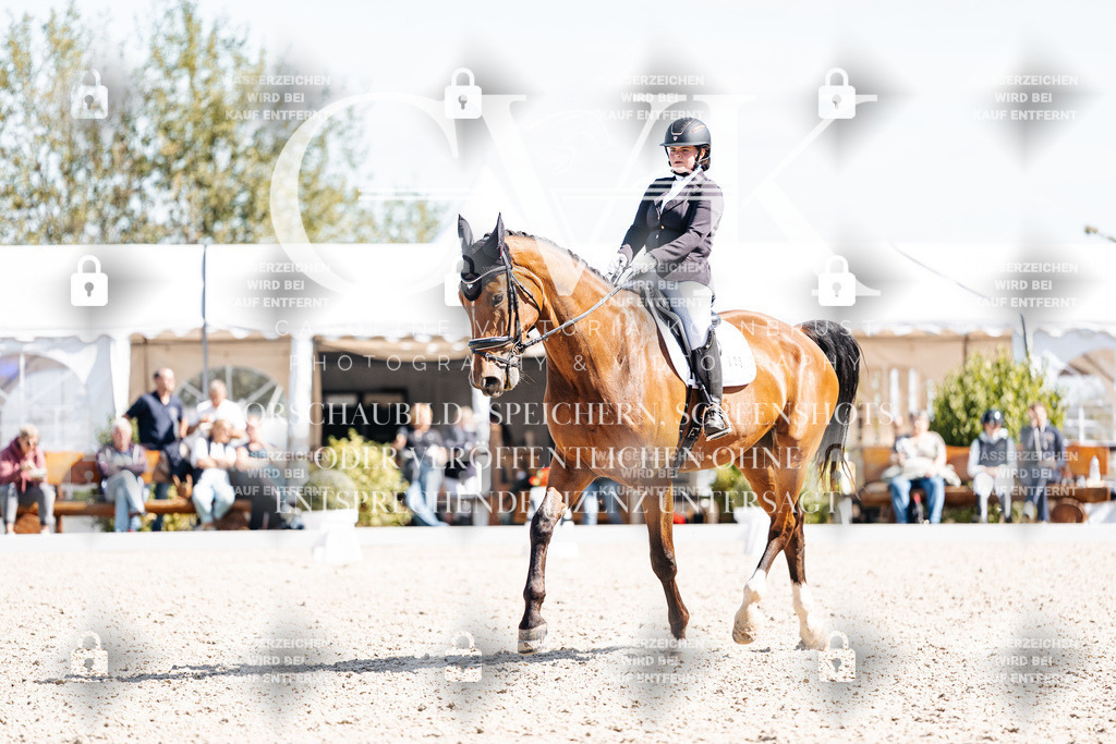 CK903159 | Turnierfotografie Pferdefotografie Trier Rheinland-Pfalz Pferdesport Reitsport Tierfotografie Sportfotografie Pferdevideo Pferdevideografie Equestrianvideography equestrianphotography  - Realisiert mit Pictrs.com