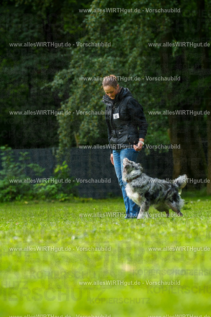 @allesWIRTHgut_Tierfotografie - www.allesWIRTHgut.de - 7R502042 | Professionelle Tierfotografie in Mönchengladbach von Daniel Wirth (allesWIRTHgut). Liebevolle & natürliche Bilder von Hunden & Katzen für unvergessliche Erinnerungen.