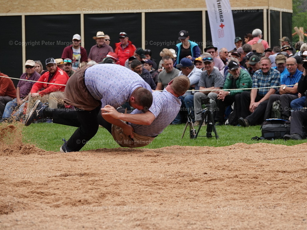 DSC07147 | Schwingen - Realisiert mit Pictrs.com