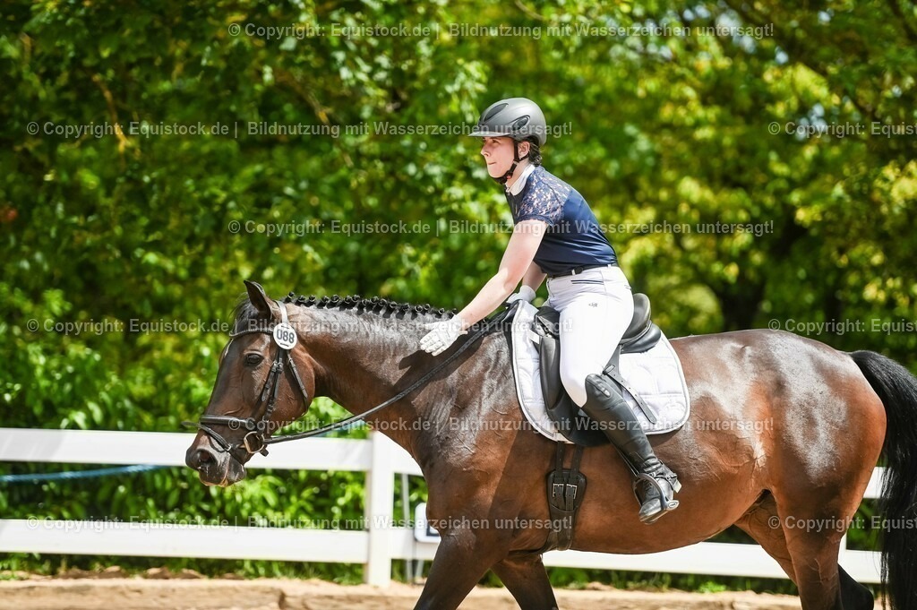 20230715_05_Dressurprüfung Kl.A++_0399 | equistock