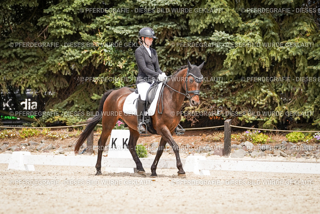 DSC04080 | Pferdegrafie