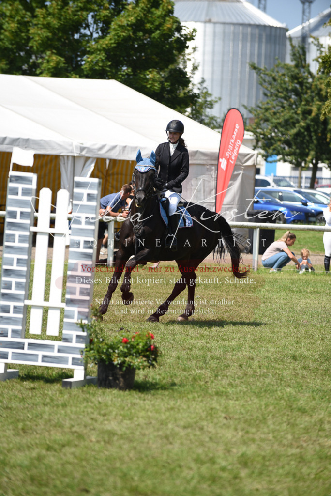 DSC_0044 | Pferde- und Turnierfotografie in Westsachsen. Pferdeportraits, Auftragszeichnungen und intuitive Kunst.