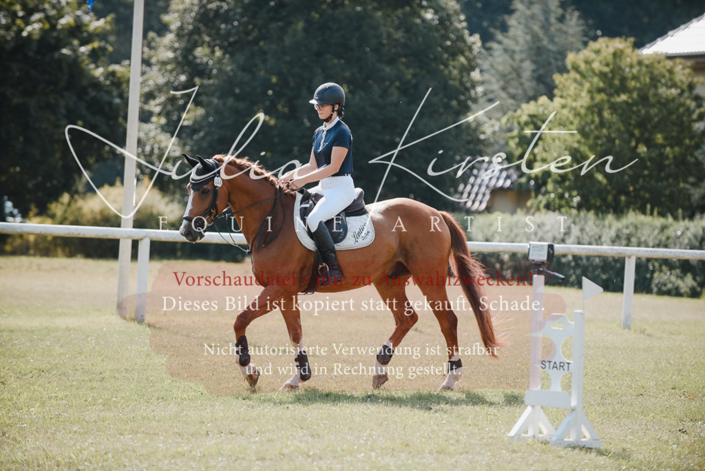 DSC_5339 | Pferde- und Turnierfotografie in Westsachsen. Pferdeportraits, Auftragszeichnungen und intuitive Kunst.