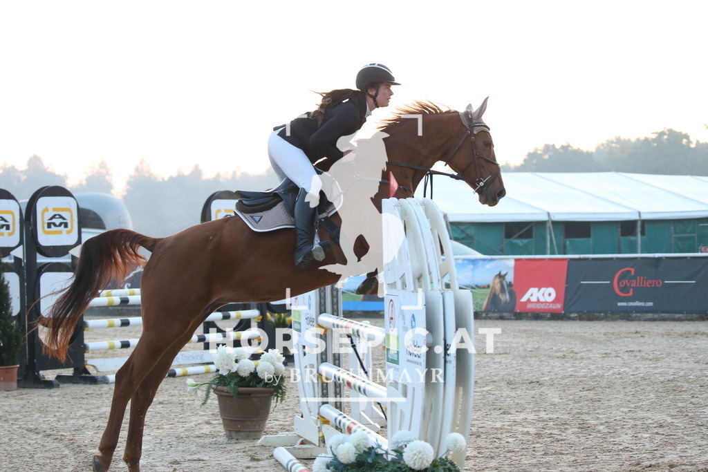 DL2Q0087 | Willkommen bei Brunnmayr - Design & Fotografie – Ihrem Spezialisten für Reitturniere und Pferdeveranstaltungen in Oberösterreich, Salzburg und Bayern! Seit über 17 Jahren sind wir leidenschaftlich dabei.