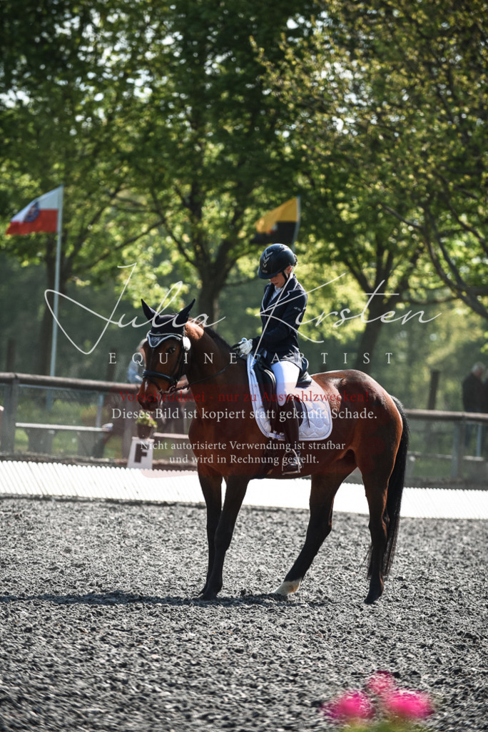 DSC_8876 | Pferde- und Turnierfotografie in Westsachsen. Pferdeportraits, Auftragszeichnungen und intuitive Kunst.