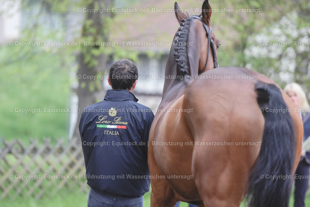 20230514_Impressionen_0187 | equistock