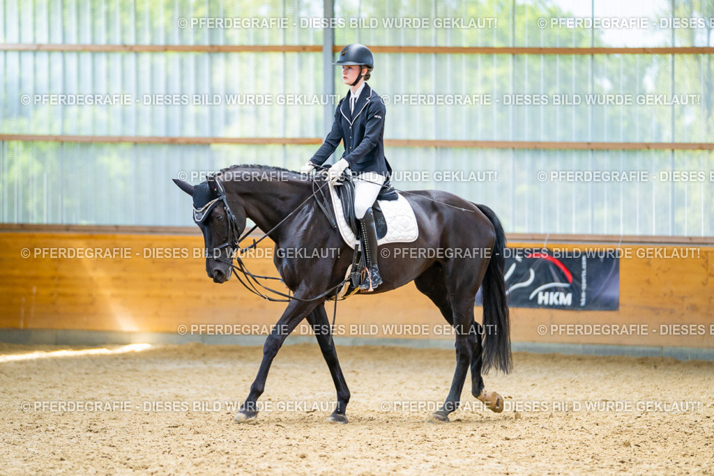 DSC09347 | Pferdegrafie