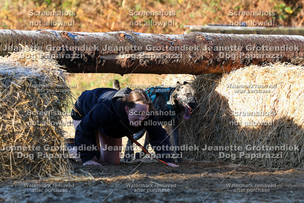 Dog Paparazzi - Strongdog 10-25-738 | Dog Paparazzi Jeanette Grottendiek Fotografie & Videografie - Realisiert mit Pictrs.com