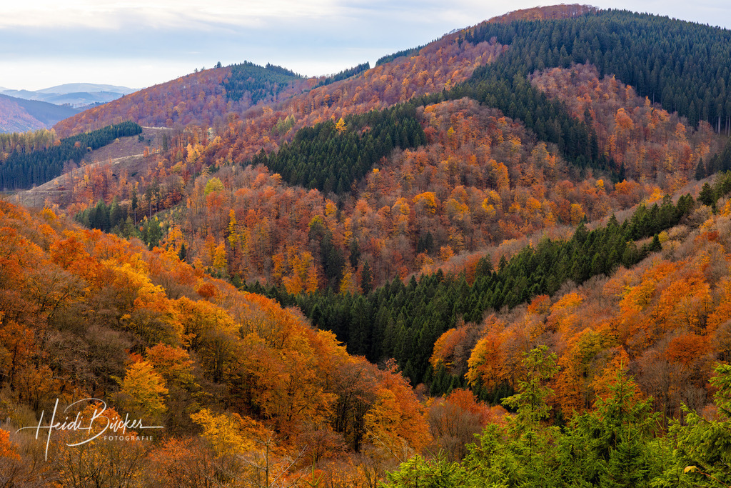 Herbst im Sauerland | Herbst im Sauerland - Realisiert mit Pictrs.com