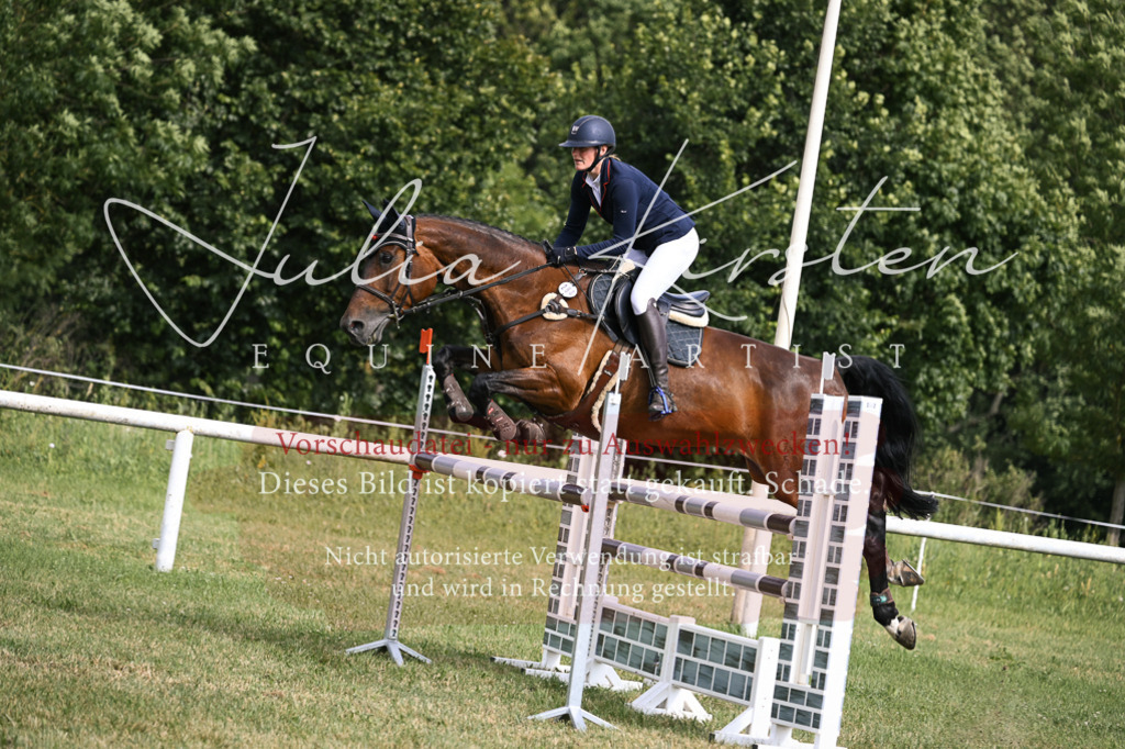 DSC_0797 | Pferde- und Turnierfotografie in Westsachsen. Pferdeportraits, Auftragszeichnungen und intuitive Kunst.