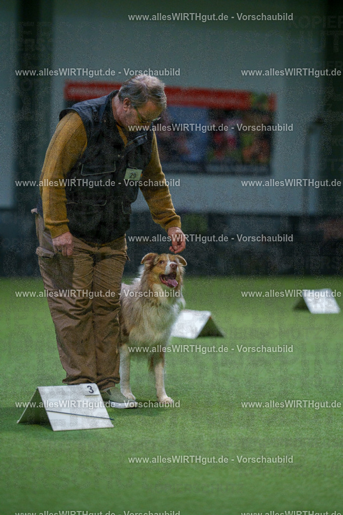 7R500529 | Professionelle Tierfotografie in Mönchengladbach von Daniel Wirth (allesWIRTHgut). Liebevolle & natürliche Bilder von Hunden & Katzen für unvergessliche Erinnerungen.