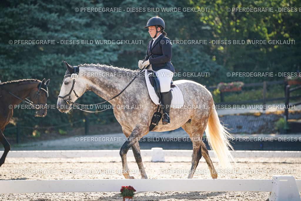 DSC08599 | Pferdegrafie