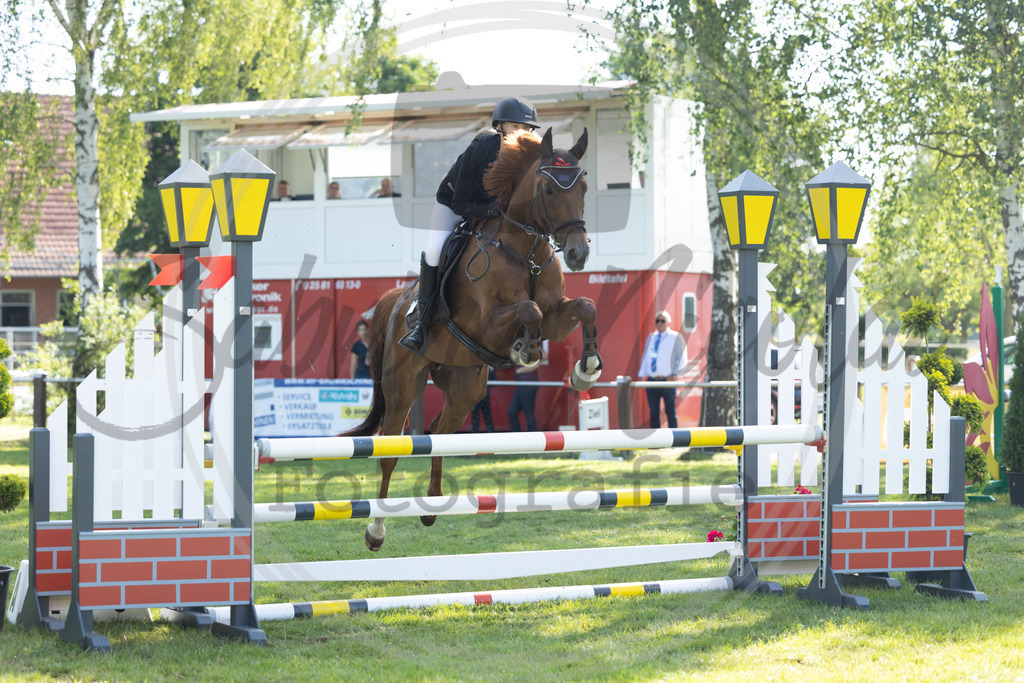 994A3665 | sabrinanicolaifotografie - Realisiert mit Pictrs.com