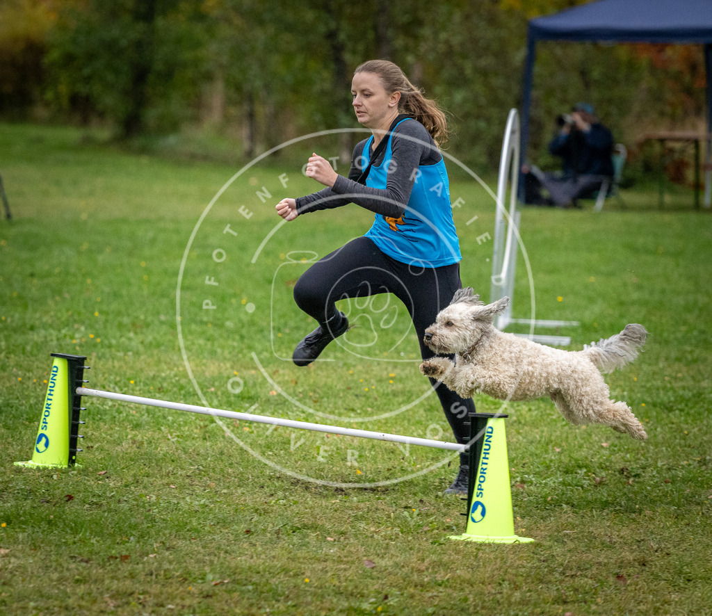 Pfotenfotografie_DV3A1103 | Hundefotografie, Tierfotograf, Pfotenfotografie, Fotoshooting Hund, Hunde Portrait, Hundesport, Hundeportraits, Heideshooting, Hunde, Sportfotograf, Hundefotograf, Turnierhundsport, THS,  - Realisiert mit Pictrs.com