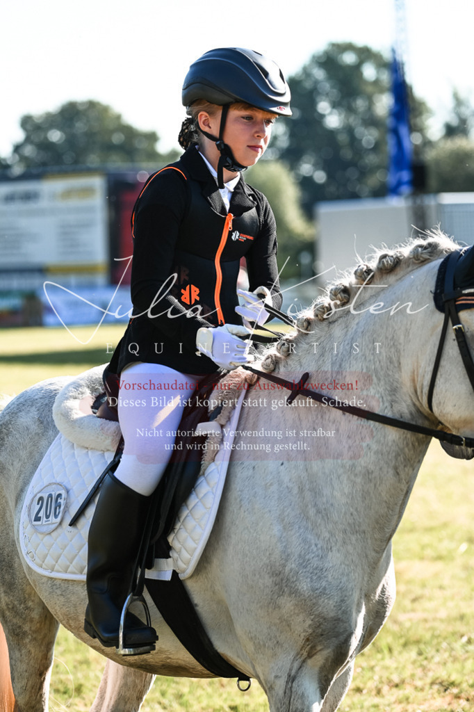 DSC_0547 | Pferde- und Turnierfotografie in Westsachsen. Pferdeportraits, Auftragszeichnungen und intuitive Kunst.