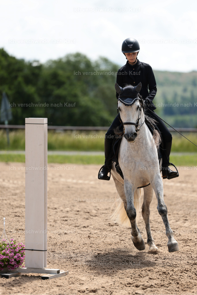 KlasseA_Stoibphotography_C2_L5705.JPG | working equitationturnier fotograf videograf stoibphotography marixx film working equitation deutschland reitsport turnierfotografie eventfotografie equestrian events