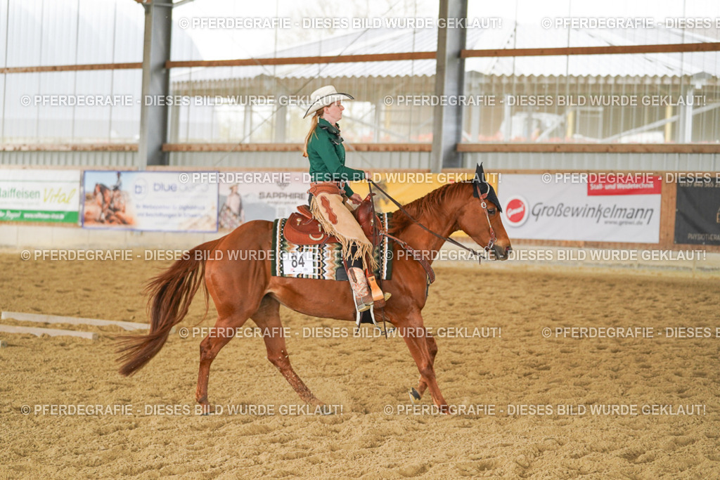 DSC04610 | Pferdegrafie