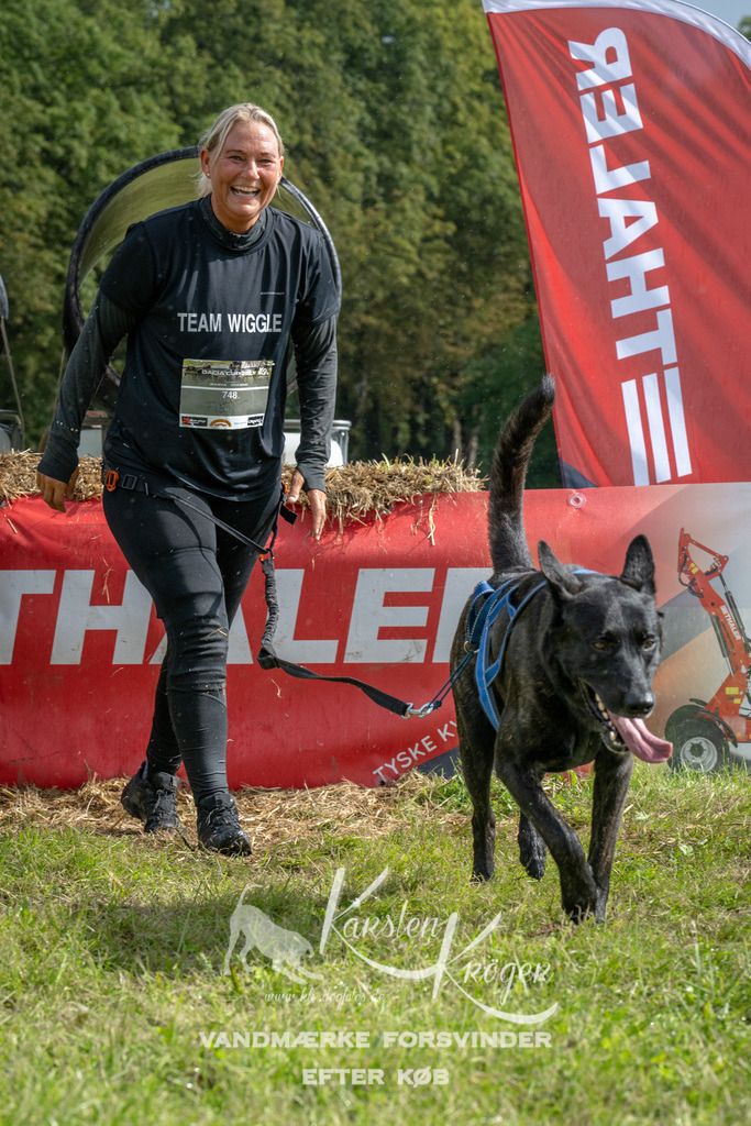 1116_ZZ93777 | kk-dogfotos