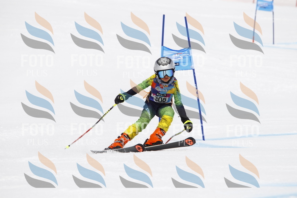 _U3G7660 | holidayphoto