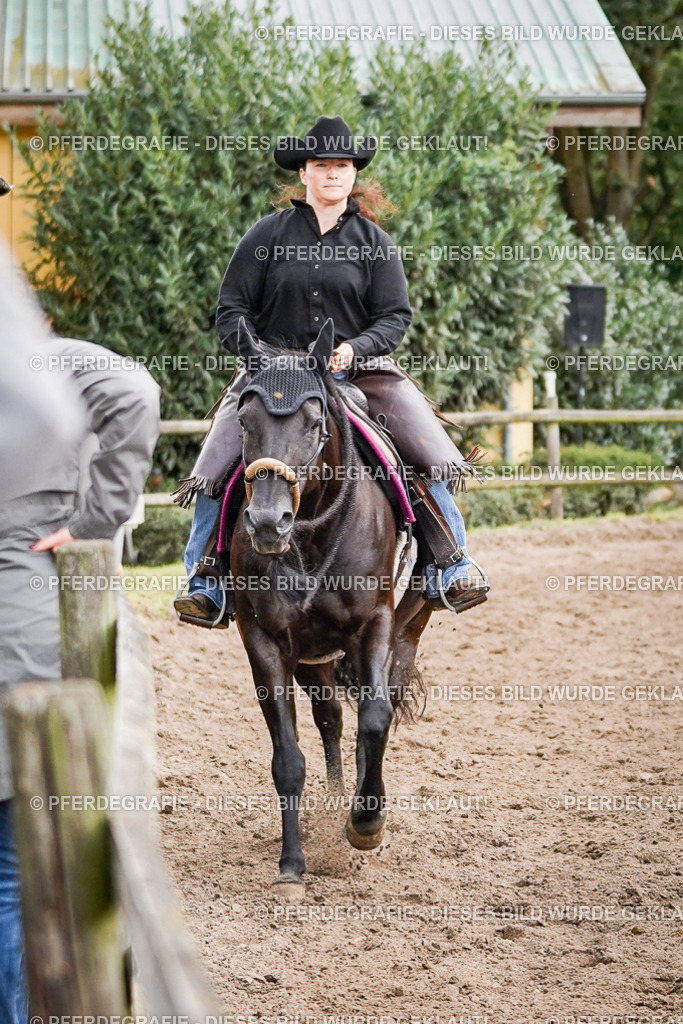 DSC08808 | Pferdegrafie