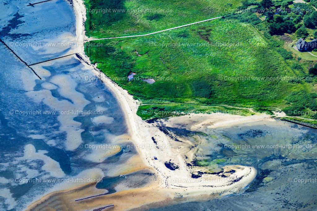 Sylt_Kampen_Ostseite_Wattseite_Schlauchalgenteppich_ELS_4370130825 | KAMPEN (SYLT) 13.08.2025 Sand Landzunge mit "Schlauchalgenteppich " an der Wattenmeerseite in Kampen (Sylt) im Bundesland Schleswig-Holstein, Deutschland. // Sand headland with "tube algae carpet" on the Wadden Sea side in Kampen (Sylt) in the federal state of Schleswig-Holstein, Germany. Foto: Martin Elsen