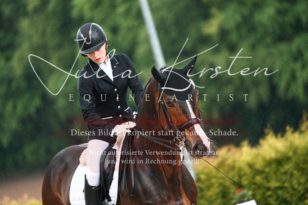 DSC_4183 | Pferde- und Turnierfotografie in Westsachsen. Pferdeportraits, Auftragszeichnungen und intuitive Kunst.