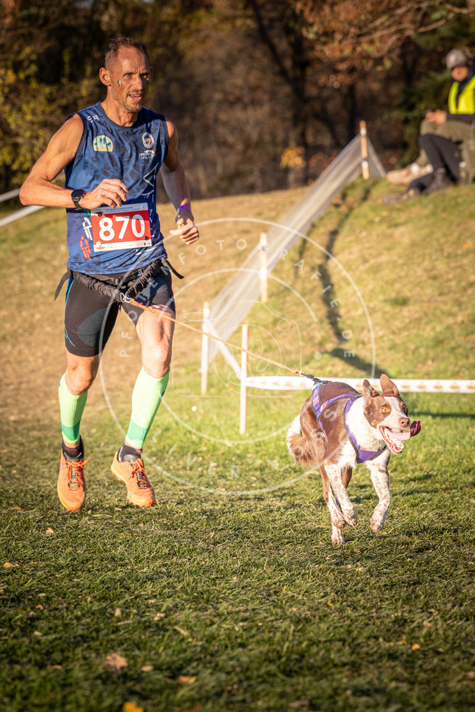 CaniXpix_0L8A1072 | Hundefotografie, Tierfotograf, Pfotenfotografie, Fotoshooting Hund, Hunde Portrait, Hundesport, Hundeportraits, Heideshooting, Hunde, Sportfotograf, Hundefotograf, Turnierhundsport, THS,  - Realisiert mit Pictrs.com