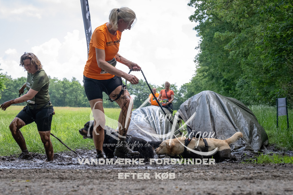 1143_ZZ94079 | kk-dogfotos