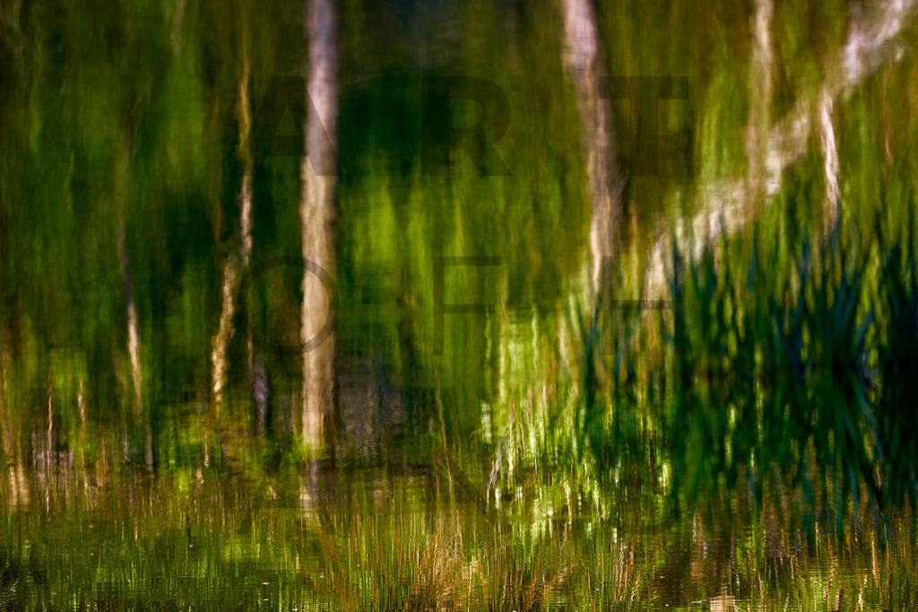 Ein Hans Fineart Original | Entdecke die Kunst von Hans Fineart - Fotografien für dein Zuhause. Verwandle deine Wände mit einzigartigen Kunstwerken und bringe die Schönheit der Welt in dein Leben. Bestelle jetzt und schaffe einen Ort der Inspiration und Eleganz.