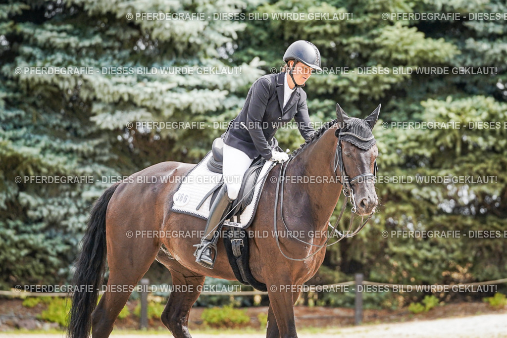 DSC03058 | Pferdegrafie