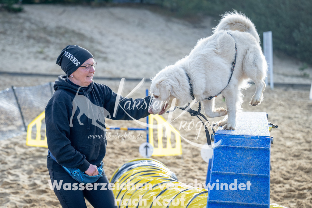 0948_ZZ92834 | kk-dogfotos