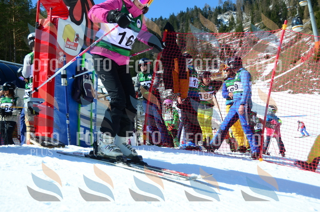 C6211 | holidayphoto