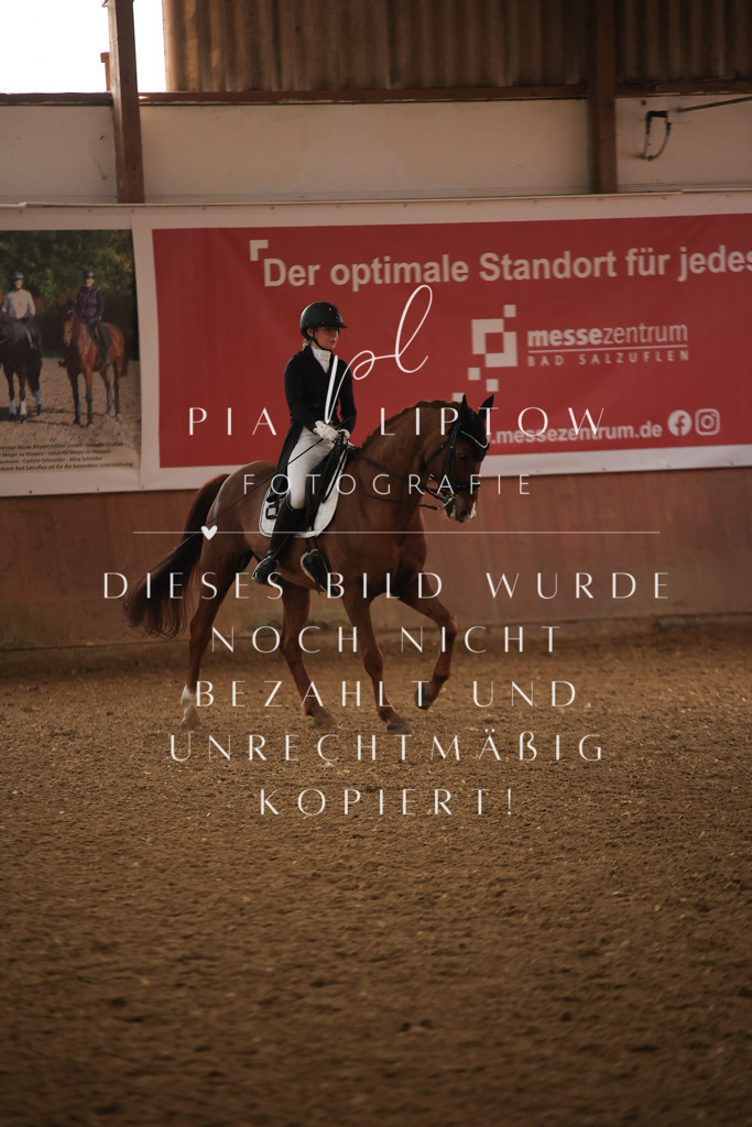 IMGT4763 | pl-fotografie