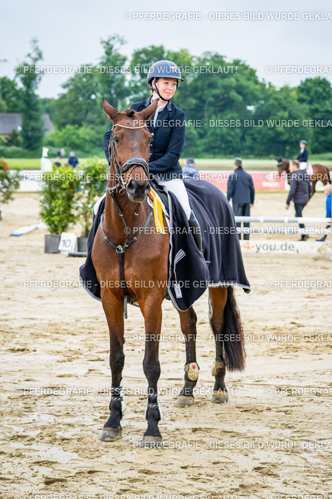 DSC02789 | Pferdegrafie