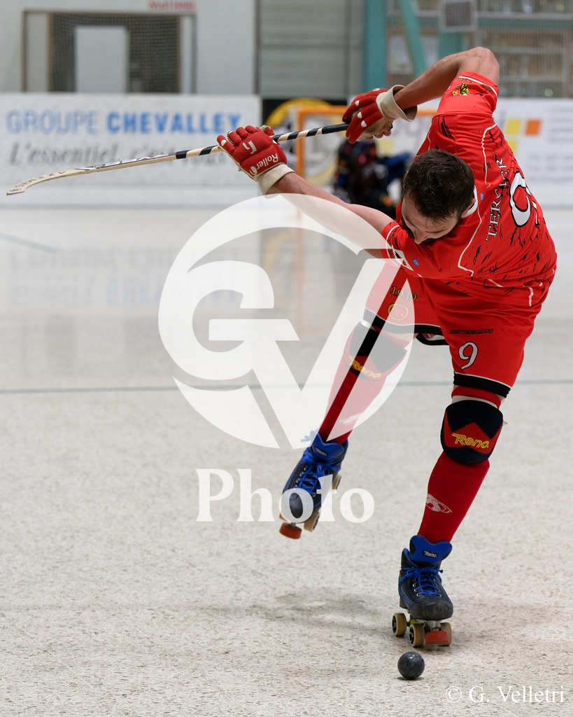 DSC_6473 | Velletri Photo