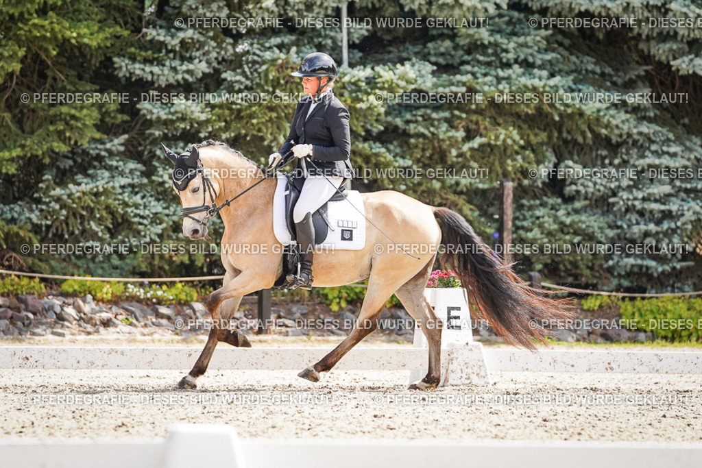 DSC09533 | Pferdegrafie