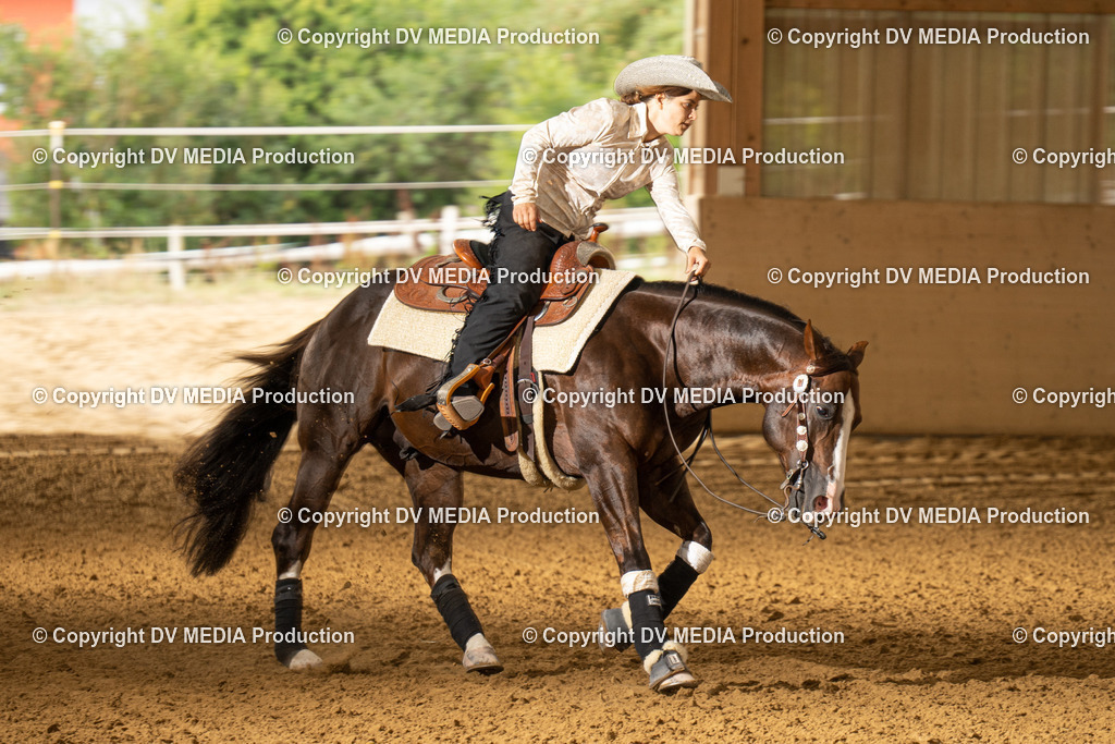 LAU01537 | dv-media-shop - Realisiert mit Pictrs.com