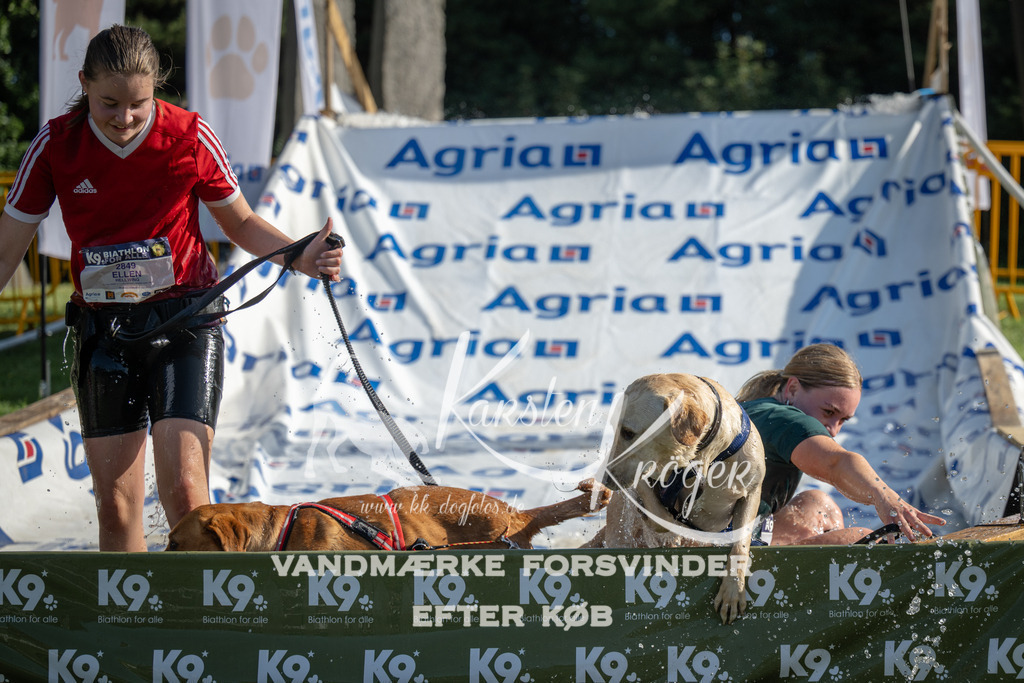 0938_ZZ96635 | kk-dogfotos