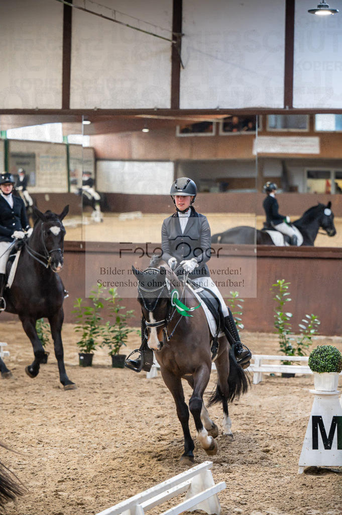 Hallenreittunier Voxtrup 2023 | Entdecke hochwertige Reitturnierfotos von Foto Oger. Professionell, emotional und authentisch – jetzt Lieblingsmomente im Shop bestellen.Deutschlandweite Turnierfotografie. - Realisiert mit Pictrs.com